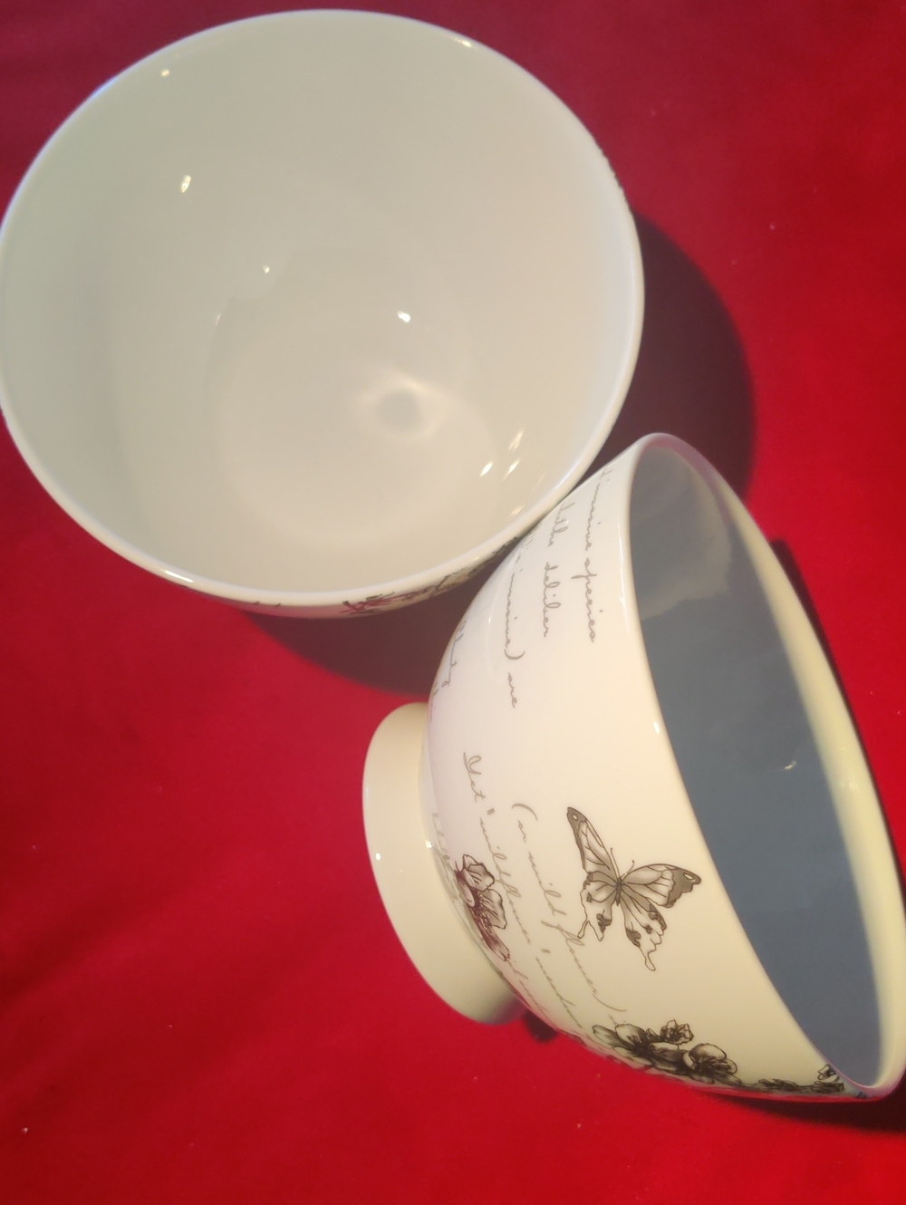 Two Portobello By Inspire Black & White Floral Butterfly Bone China Bowls